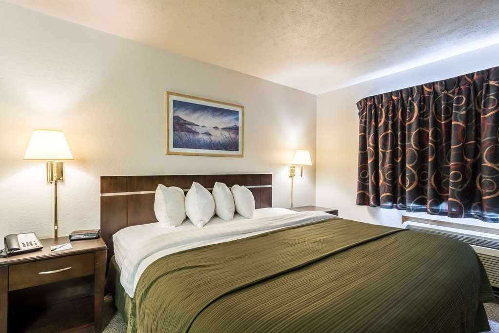 Quality Inn & Suites West Omaha - Ne Linclon Room photo